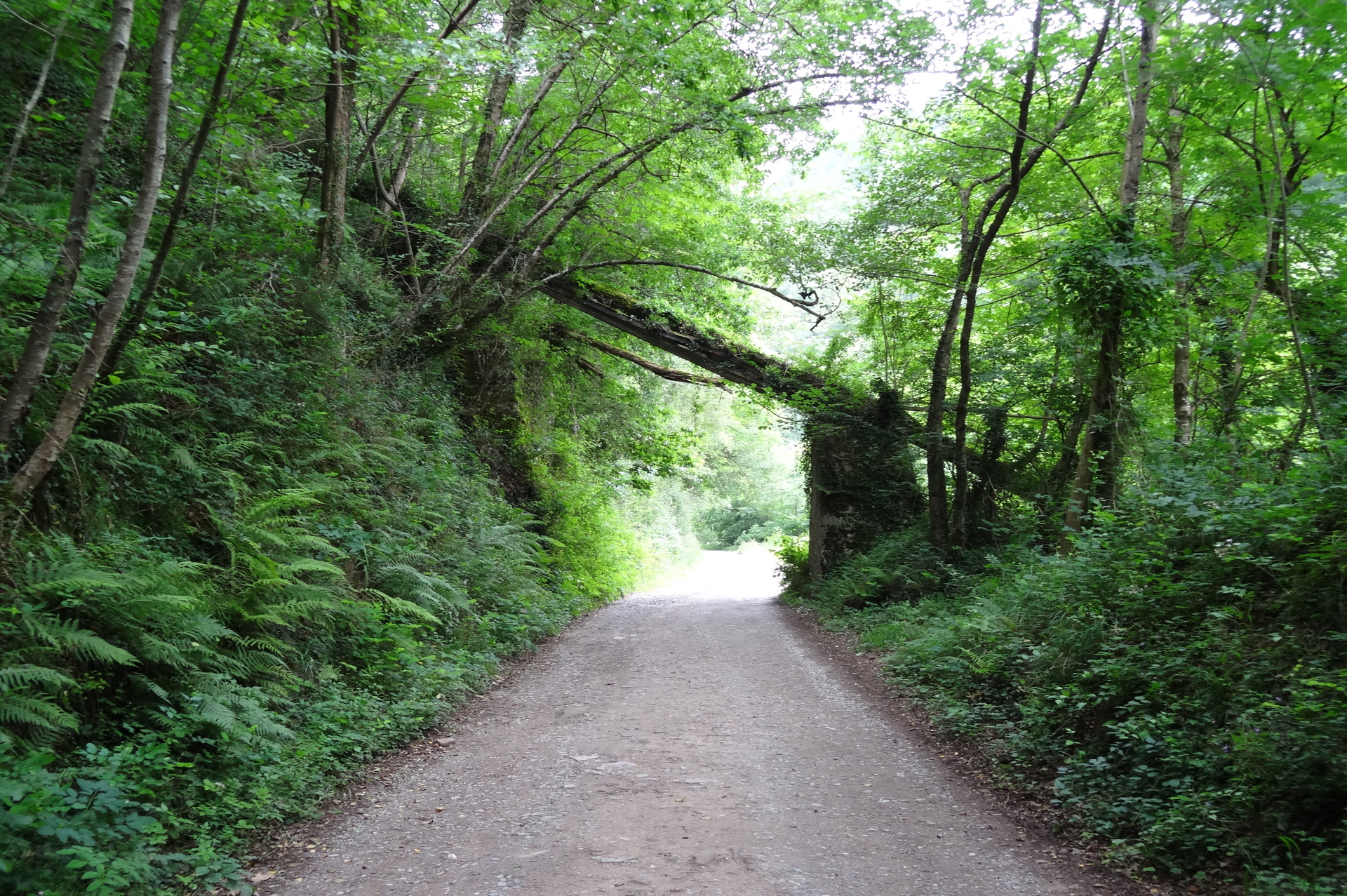A_la_Vía_Verde_del_Plazaola_06 (1)